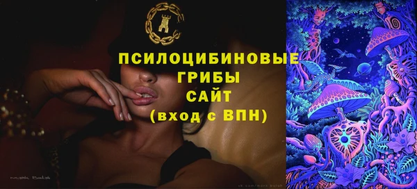 героин Алексин