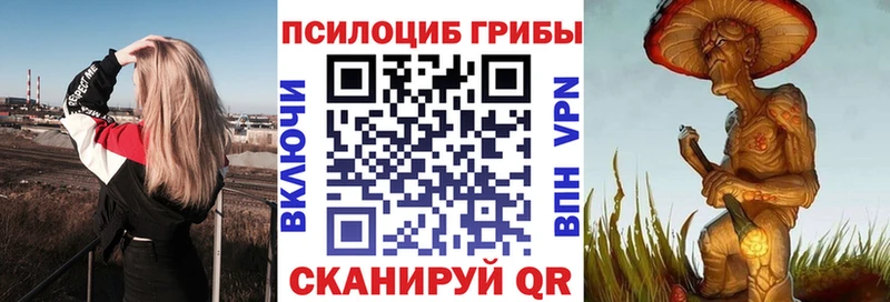 блэк спрут как зайти  Калининск  Псилоцибиновые грибы Psilocybine cubensis 